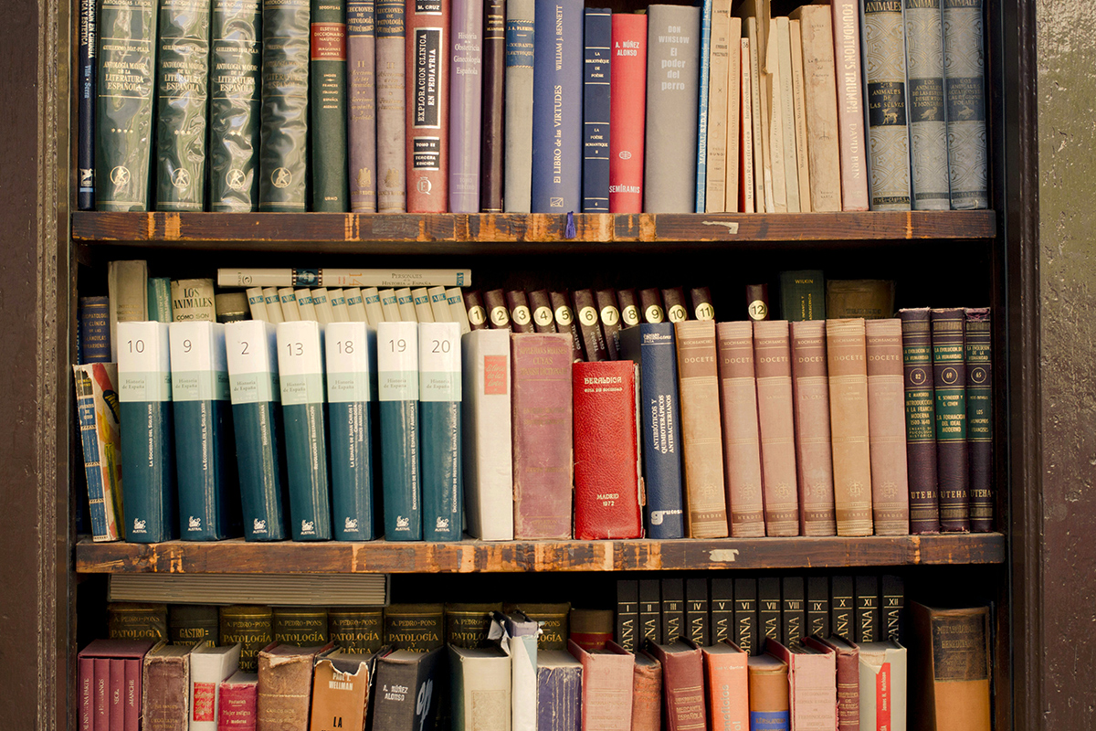 How To Maximize Bookshelf Space Using Only an Egg Carton