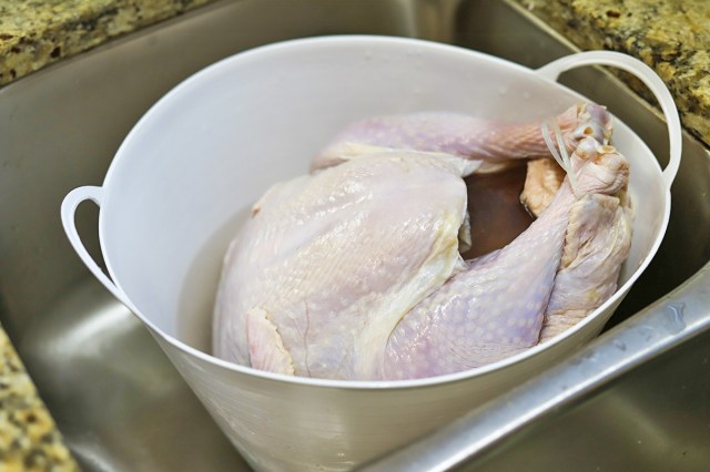 A raw turkey placed in a white plastic bucket with handles in a stainless steel sink.