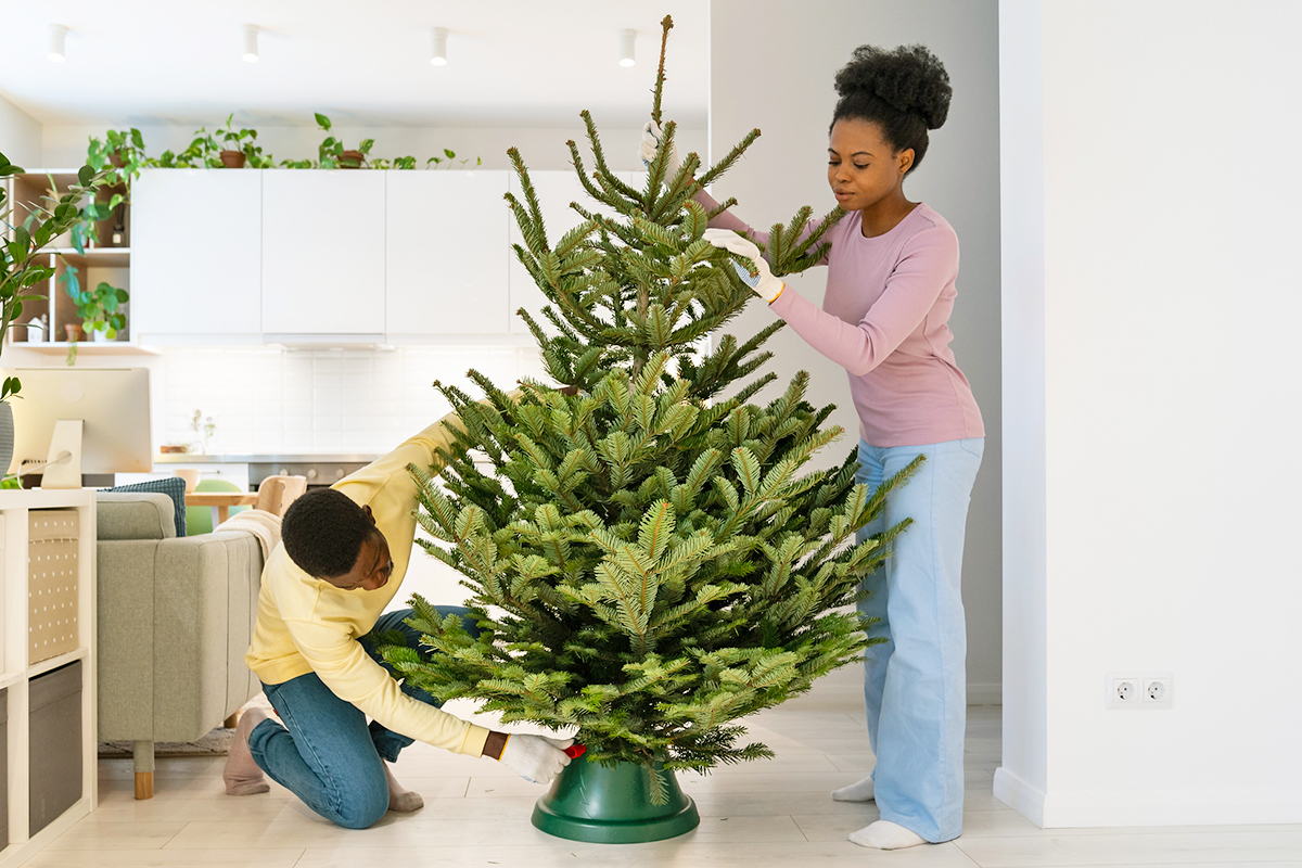 5 Hacks for Setting Up a Real Christmas Tree