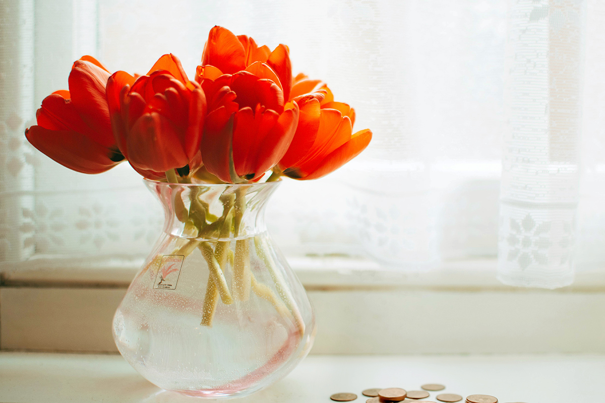 Why You Should Always Drop a Penny in Your Flower Vase