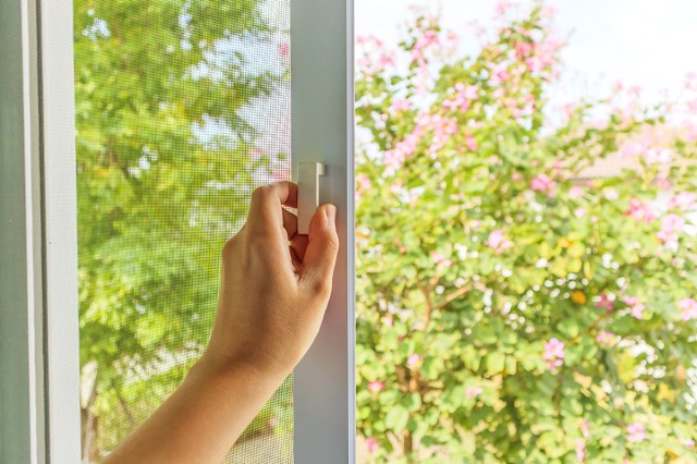 Anonymous person opening a window to reveal a screen and a spring-like backdrop with a flowering tree.