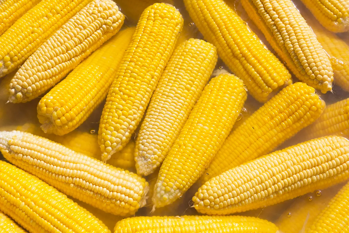 The Easiest Way To Cook Corn on the Cob for a Crowd